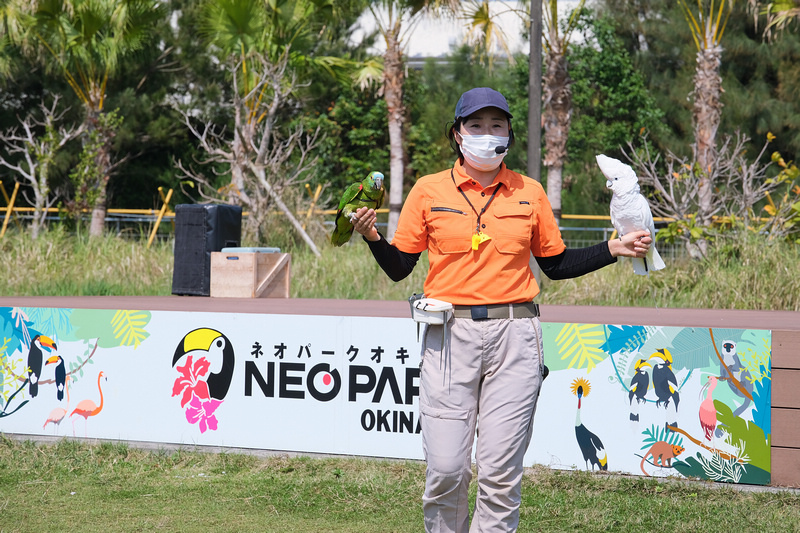 【沖繩】名護自然動植物公園：零距離接觸動物！鐵道火車和飛禽表