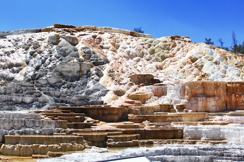 ［遊記篇］ 黃石國家公園：看似軟綿綿☆猛瑪溫泉（Mammoth Hot Springs Terraces）