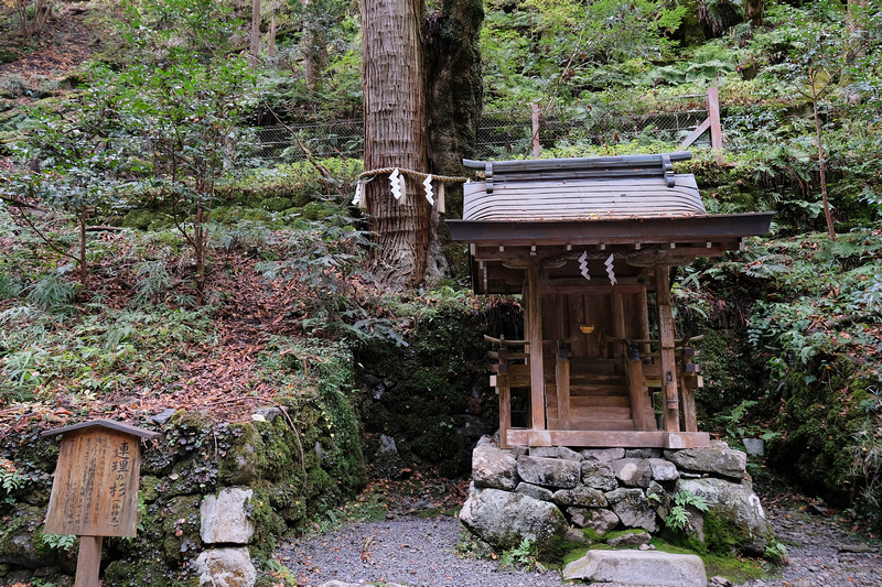 【京都】貴船神社：冬天白雪超美！秋天楓葉、點燈時間必去 (含