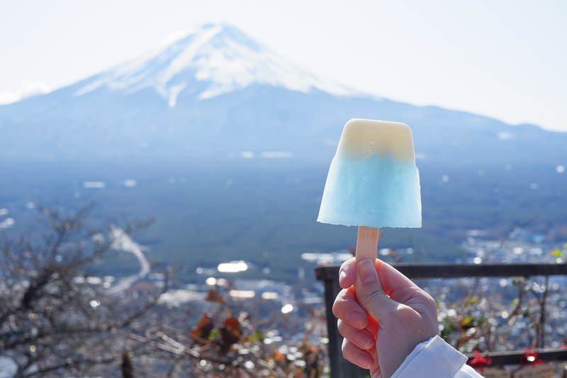 【天上山公園】必搭河口湖纜車！制高點眺望富士山全景＆超酷景觀