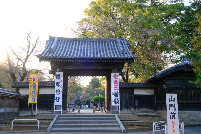 川越一日遊