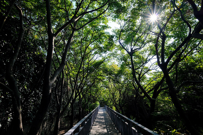 【新竹】17公里海岸線風景區：北台灣最美自行車道！10大私房