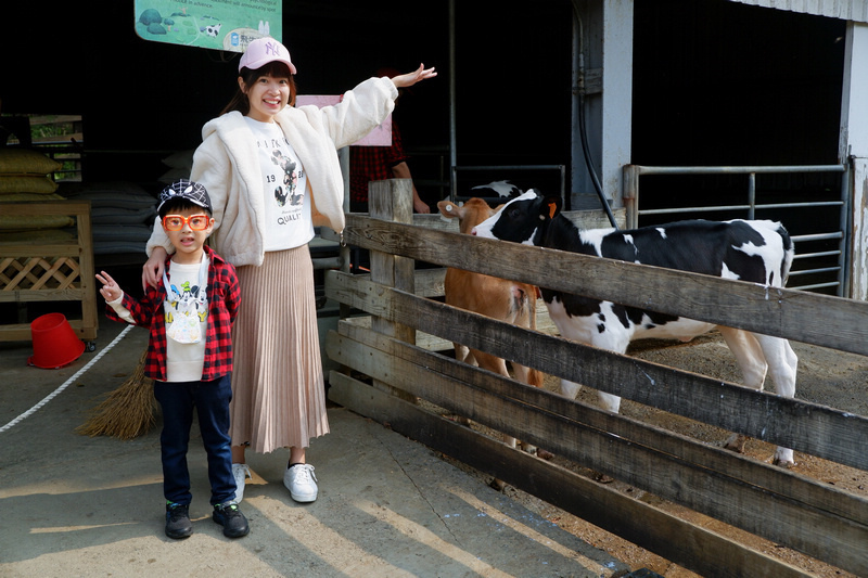 【苗栗通霄】飛牛牧場：擠奶餵羊趣！門票優惠、住宿餐廳親子一日