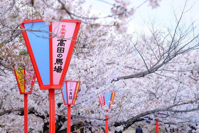 【姬路城攻略2024】日本第一名城！櫻花一日遊、天守閣重點＆