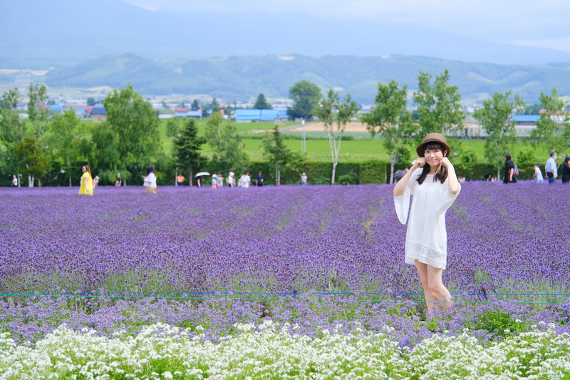 【北海道】富田農場：薰衣草花季美到爆炸！富良野花田最強景點狂