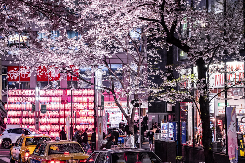 【東京】忠犬八公像＆澀谷十字路口：感人的故事，必拍知名打卡景