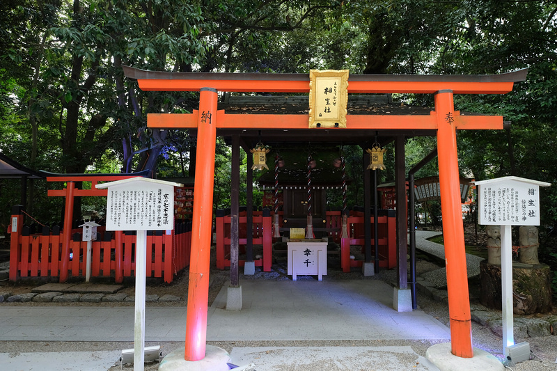 【京都】下鴨神社：最古老神社之一！蕾絲御守超酷，求姻緣變美必