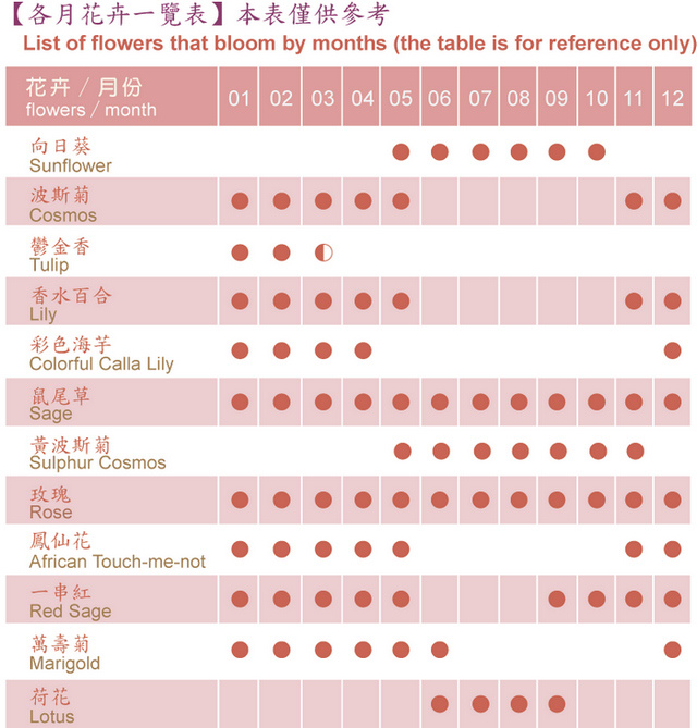 中社觀光花市花況