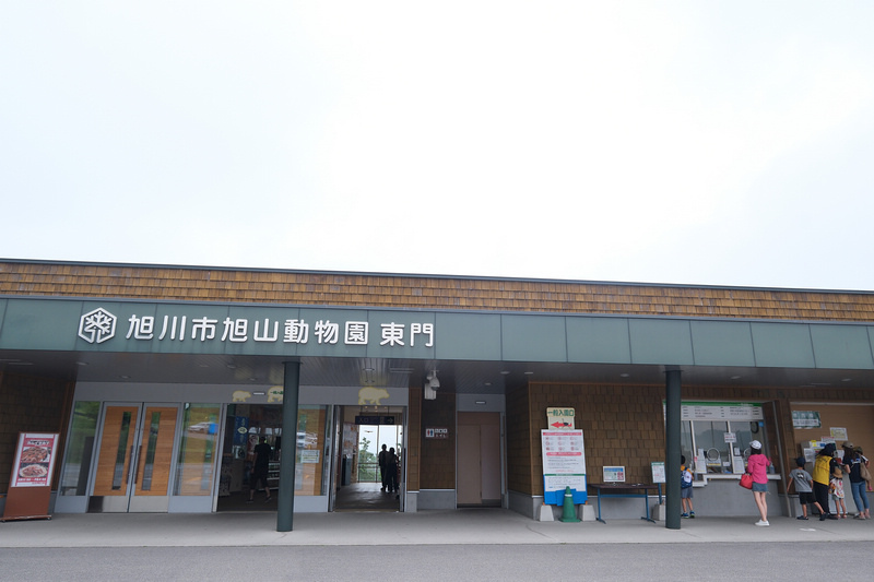 【北海道】旭山動物園：超夯企鵝散步＆北極熊游泳必看，含門票交