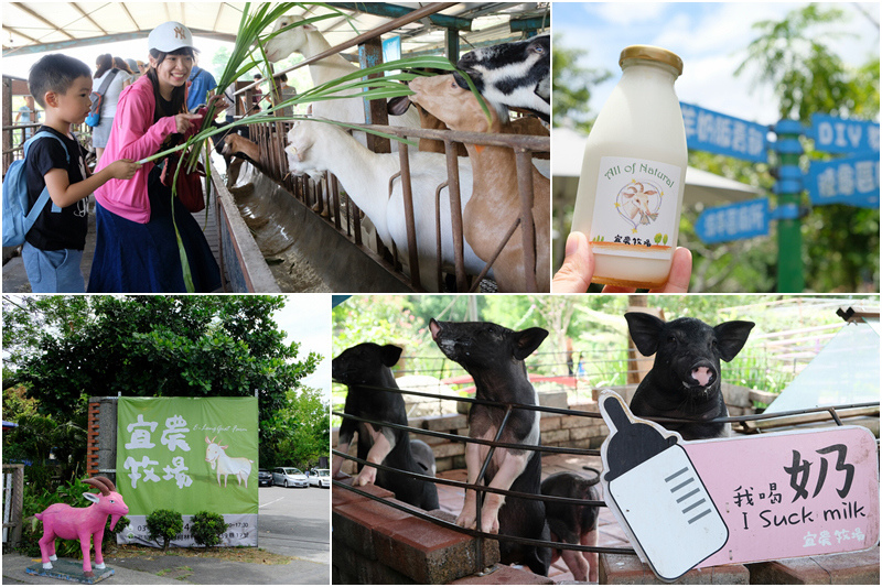 【宜蘭】宜農牧場：門票漲到150元！餵小動物、擠羊奶，親子一