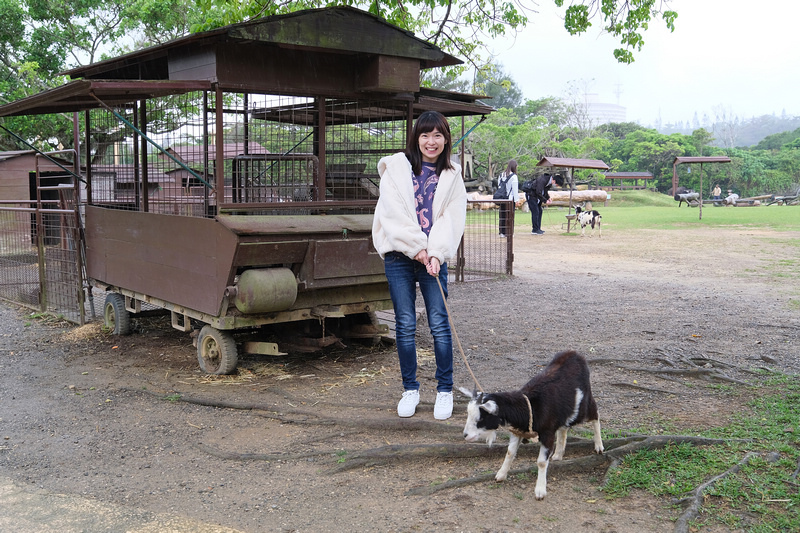 【沖繩】Bios之丘生態農場：遛山羊、湖中遊船、水牛車等親子