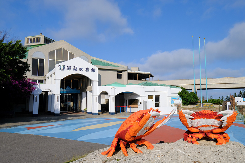 【澎湖】澎湖水族館：餵食秀超精彩！門票優惠＆海星觸摸池親子必