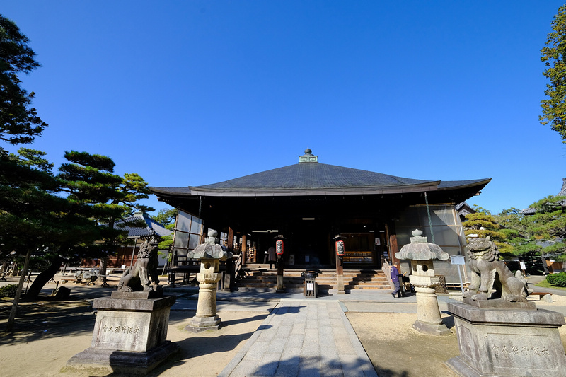 【天橋立一日遊行程】2024京都天橋立景點推薦！傘松公園、纜