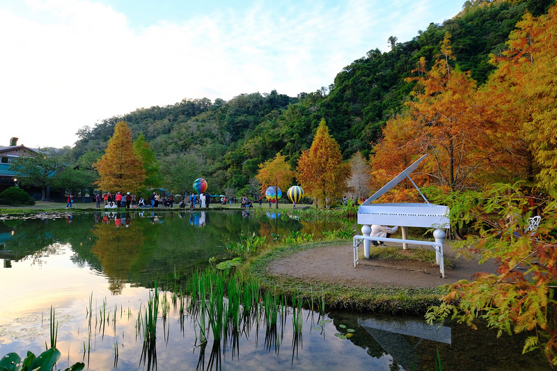 【苗栗南庄】雲水度假森林園區 (雲水溫泉度假村)：落羽松＆露