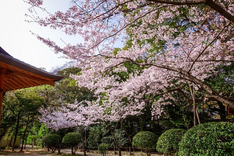 【2024福岡景點推薦】13個日本福岡必去景點！福岡旅遊行程