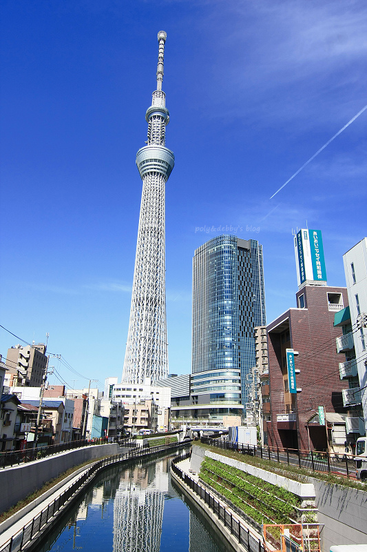 【東京】晴空塔：世界第一高塔！免排隊秘訣＆門票美食、必買交通