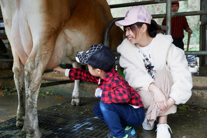 【苗栗通霄】飛牛牧場：擠奶餵羊趣！門票優惠、住宿餐廳親子一日