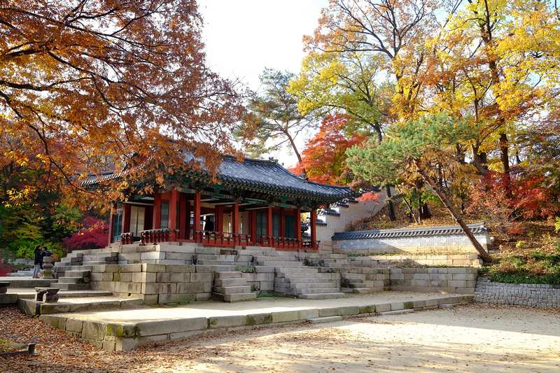 【韓國首爾】昌德宮秘苑預約＆門票韓服，紅葉漫天皇族後花園爆炸