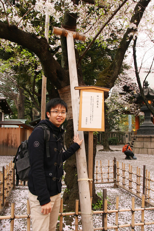 【東京】靖國神社：櫻花標準木在此！賞櫻花況指南樹，參拜爭議之