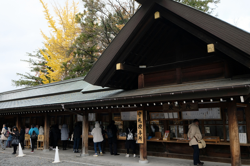 【札幌】北海道神宮：北海道第一大神社！超萌Kitty御守＆美