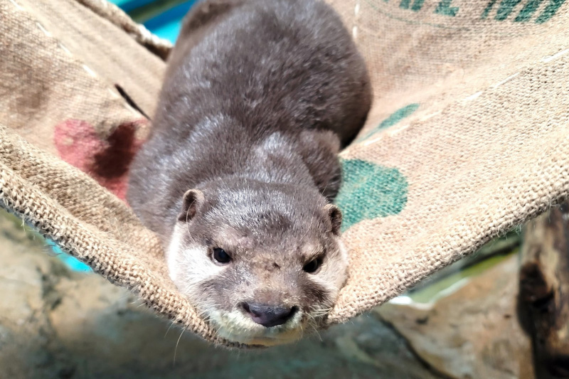 小樽水族館3.jpg