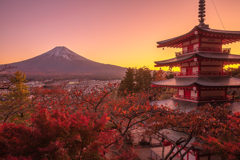 【河口湖】新倉富士淺間神社：絕美富士山景色！忠靈塔、鳥居櫻花