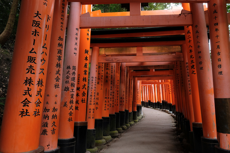 【京都】伏見稻荷大社：千本鳥居必看！狐狸御守、門票交通＆附近