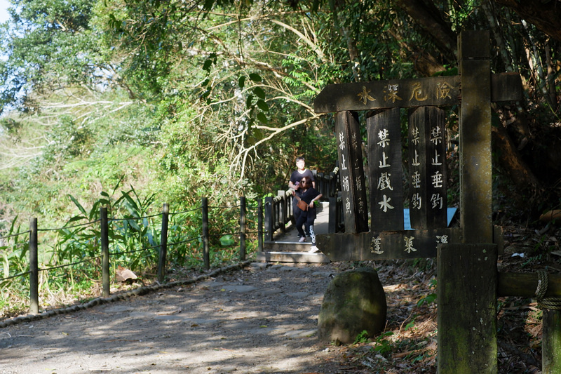 【苗栗南庄】蓬萊溪護魚步道：溪水清澈魚超多，免門票好停車平穩