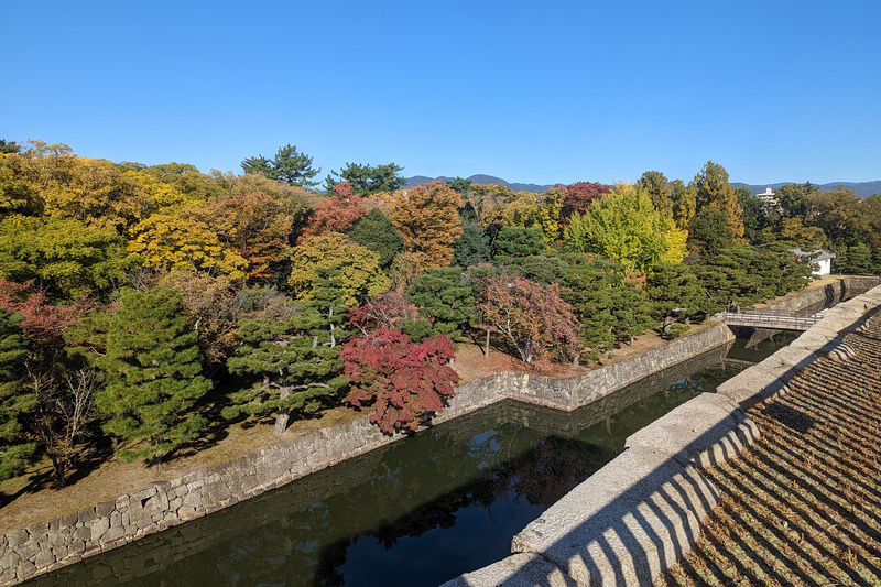 【京都】元離宮二條城：世界遺產！著名大政奉還場地，櫻花楓葉也