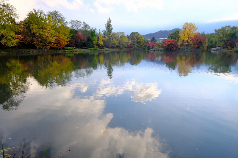 【札幌】中島公園：秋天楓葉、冬天滑雪都好玩！好評Vessel