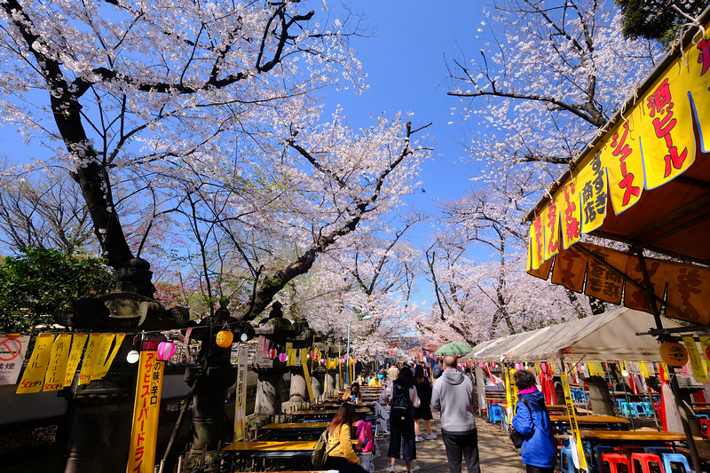 【東京上野公園】上野恩賜公園地圖攻略！櫻花楓葉＆交通美食必去