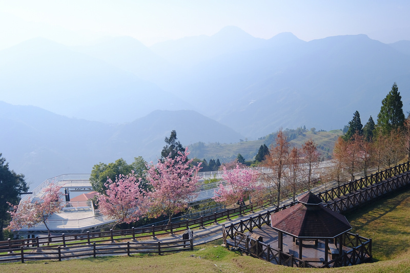 【清境農場一日遊】清境景點地圖：青青草原、綿羊秀、天空步道＆