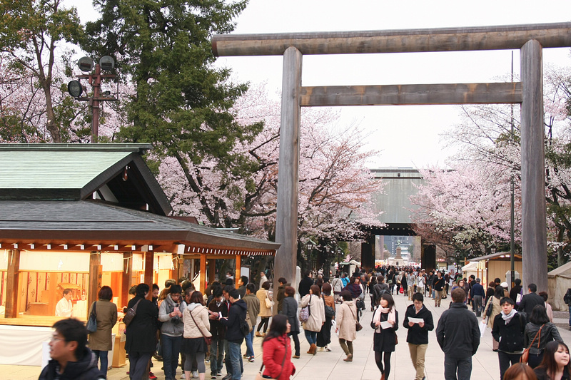 【東京】靖國神社：櫻花標準木在此！賞櫻花況指南樹，參拜爭議之