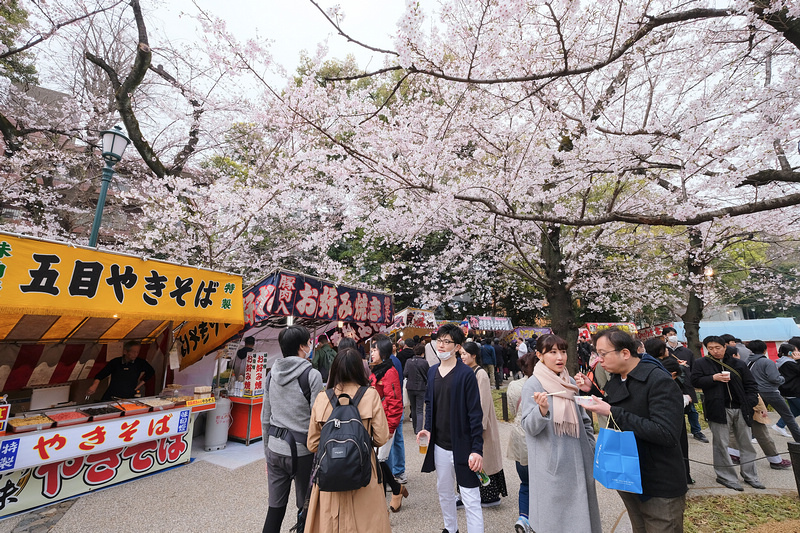 【東京】靖國神社：櫻花標準木在此！賞櫻花況指南樹，參拜爭議之