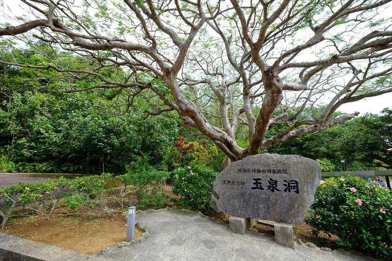 【沖繩】玉泉洞(沖繩世界文化王國)：日本第二大鐘乳洞！門票交