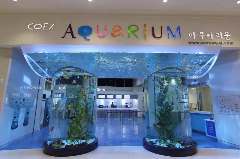 水族館.jpg