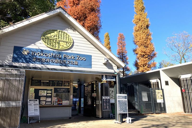 【東京吉祥寺】井之頭恩賜公園：看櫻花、野餐踩天鵝船，楓葉也很