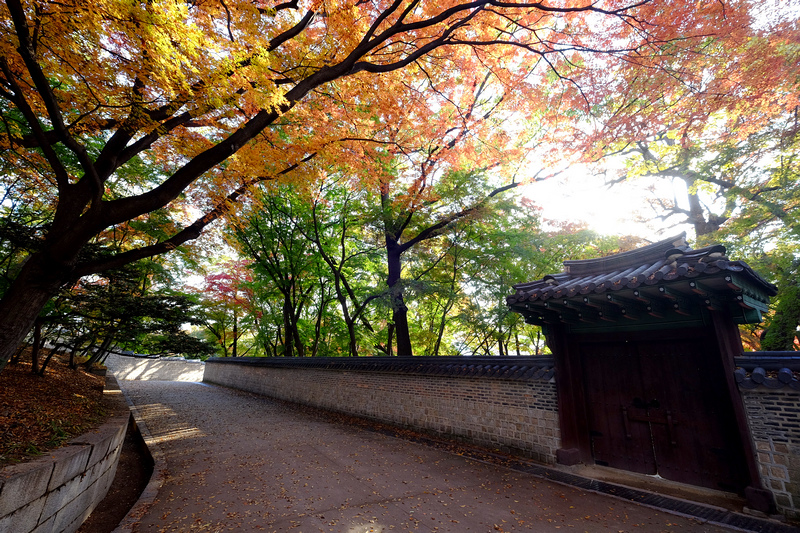 【韓國首爾】昌德宮秘苑預約＆門票韓服，紅葉漫天皇族後花園爆炸