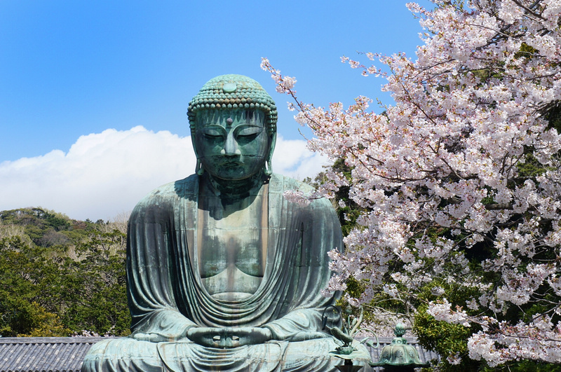 【鎌倉】鎌倉大佛殿高德院：日本第二高青銅佛像！在地神聖象徵景