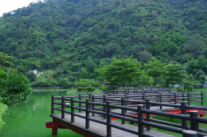 【宜蘭員山】望龍埤花田村：經典偶像劇場景！美食門票＆附近景點