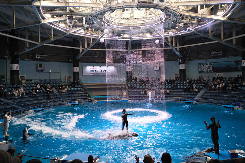 【東京】品川水族館Maxell Aqua Park：海豚秀超