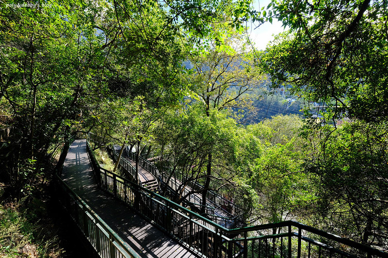 【台中】谷關景點一日遊：溫泉公園、明治老街、吊橋步道＆美食交