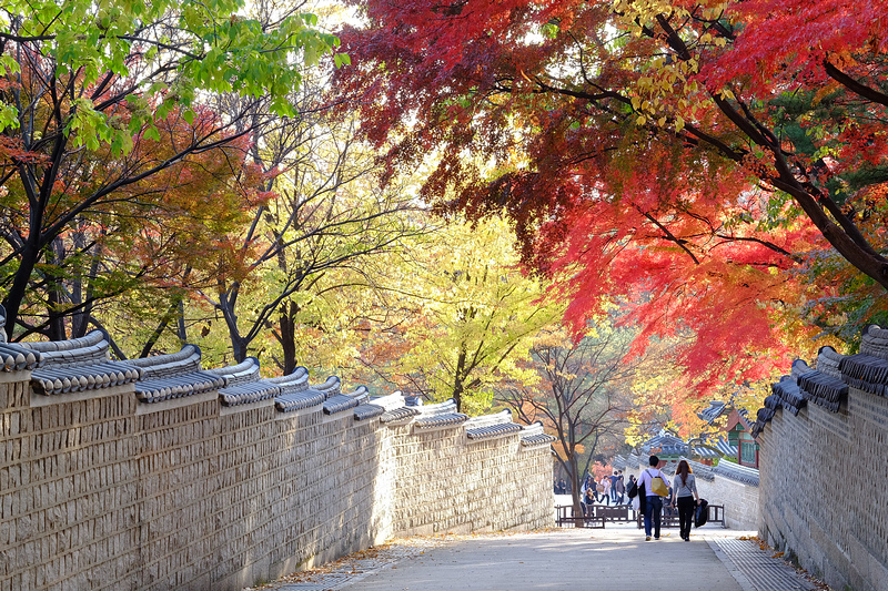 【韓國首爾】昌德宮秘苑預約＆門票韓服，紅葉漫天皇族後花園爆炸