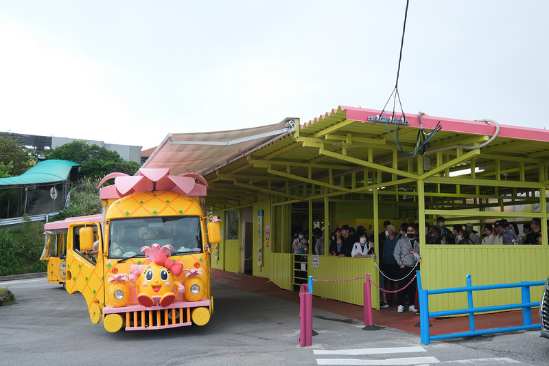 【沖繩】名護鳳梨園：逼真恐龍園區親子推薦＆搭超萌鳳梨電動車冒