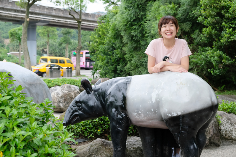 【台北市立動物園】木柵動物園：超萌企鵝熊貓無尾熊！門票停車＆