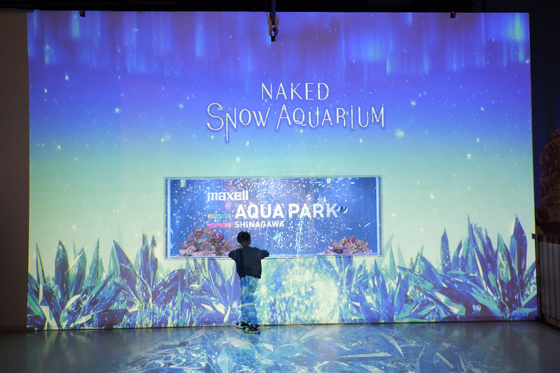 【東京】品川水族館Maxell Aqua Park：海豚秀超