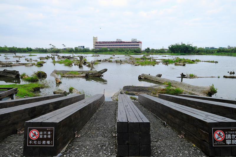 【宜蘭】羅東林業文化園區(羅東林場)：免門票超好拍！美食＆附