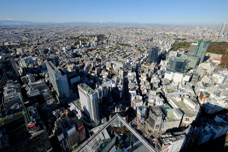 【東京】SHIBUYA SKY展望台：澀谷夜景新地標！參觀重