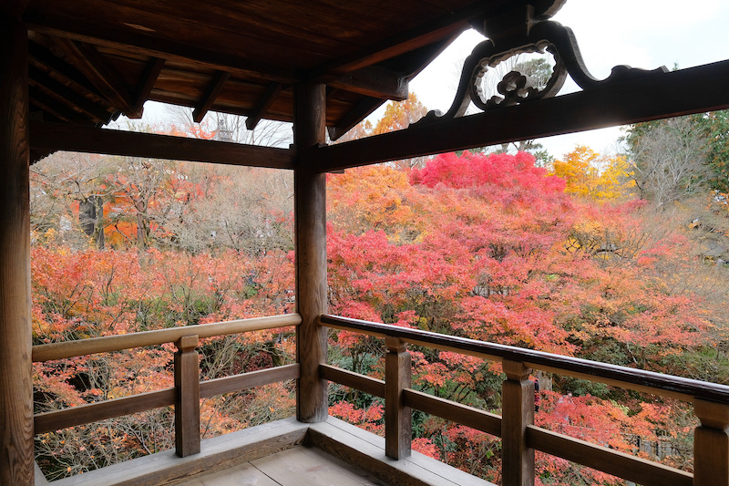 【京都賞楓景點】東福寺：楓葉之王美譽！通天橋紅葉火海般超吸睛