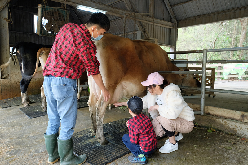 【苗栗通霄】飛牛牧場：擠奶餵羊趣！門票優惠、住宿餐廳親子一日